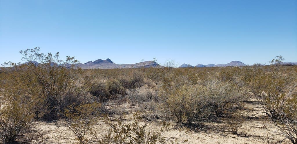 5 acres in Brewster County - photo 28