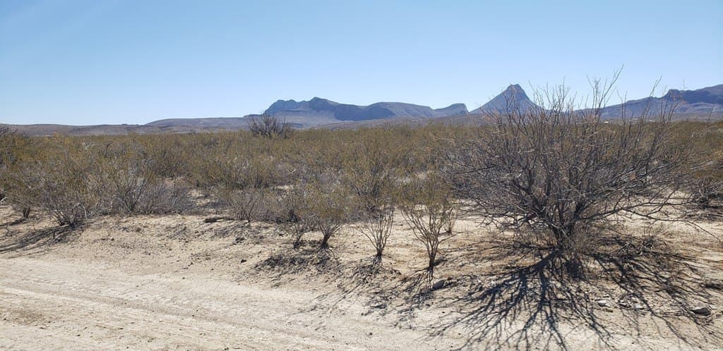 5 acres in Brewster County - photo 16