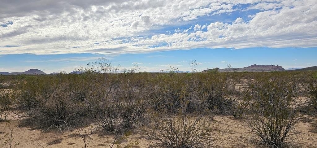5 acres in Brewster County - photo 11