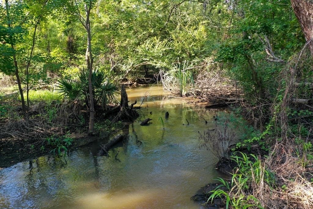 147.06 acres in Leon County gallery image 4