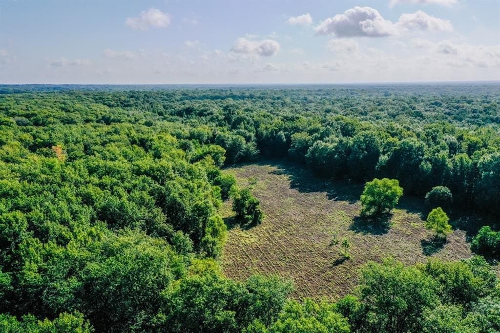 147.06 acres in Leon County featured view