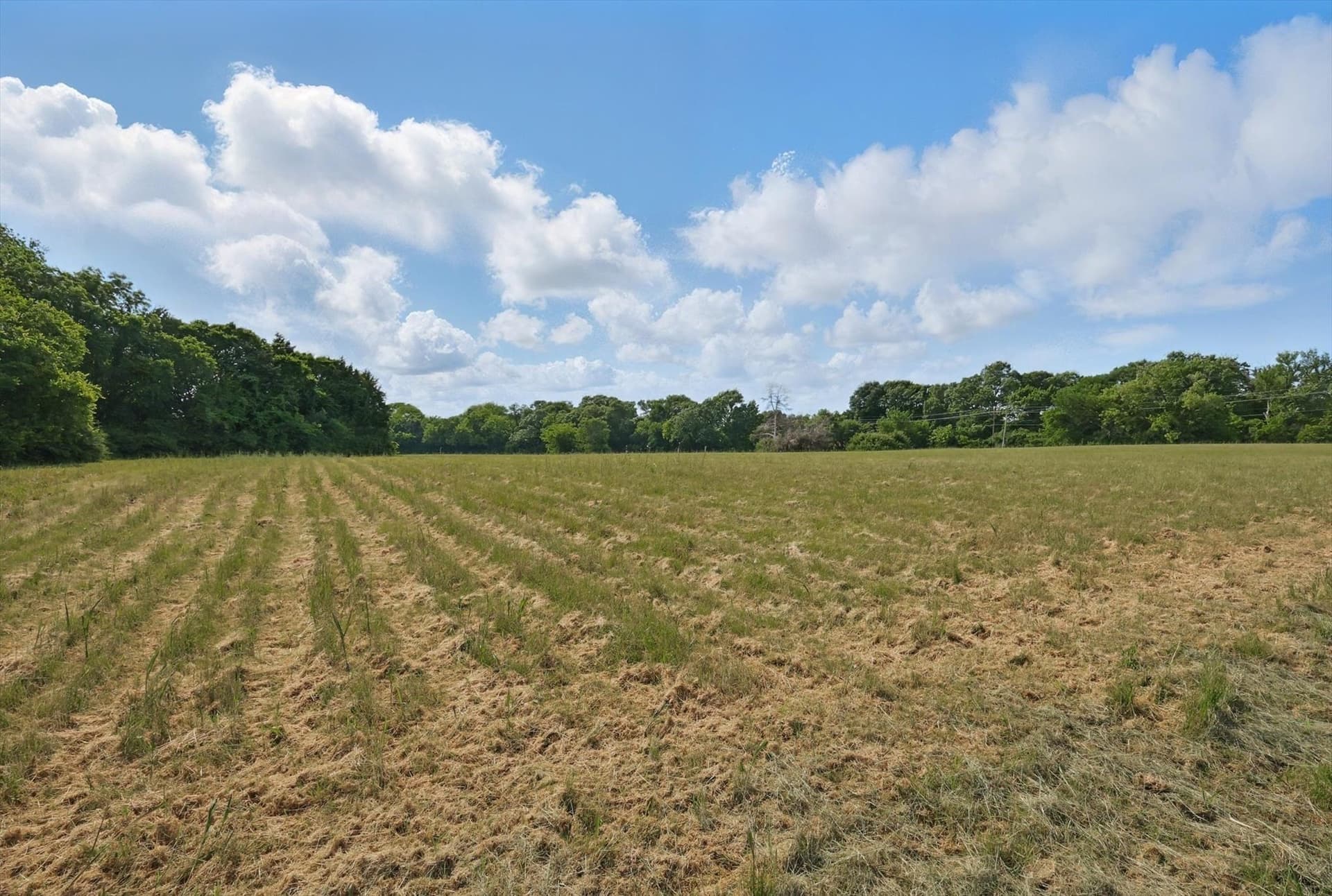 9.23 acres in Dallas County - photo 13