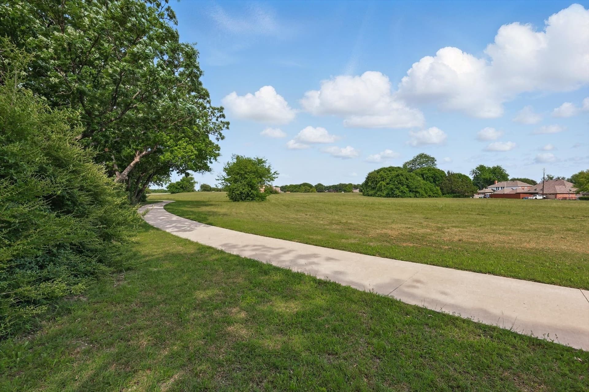 9.23 acres in Dallas County - photo 9