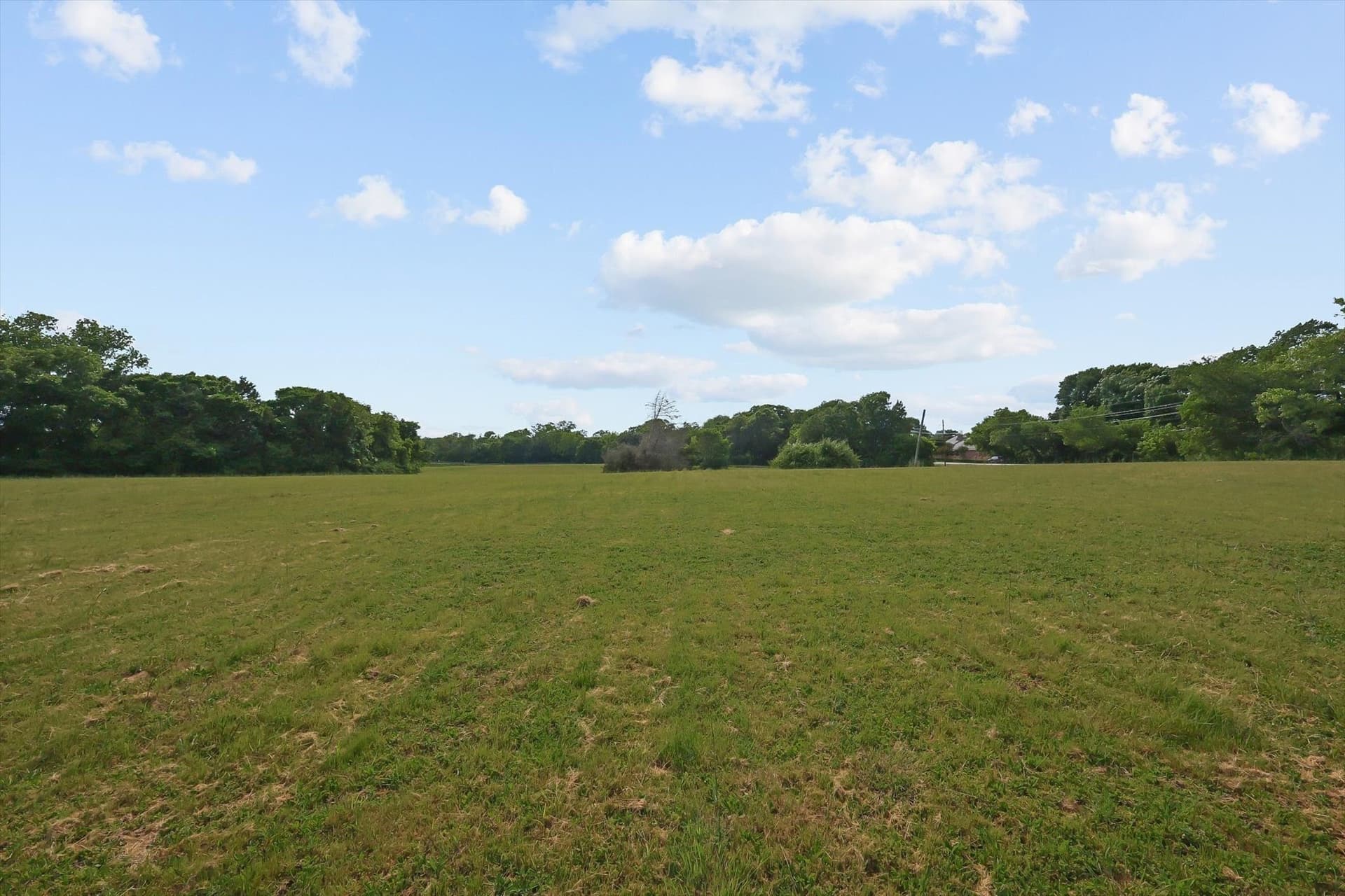 9.23 acres in Dallas County gallery image 4