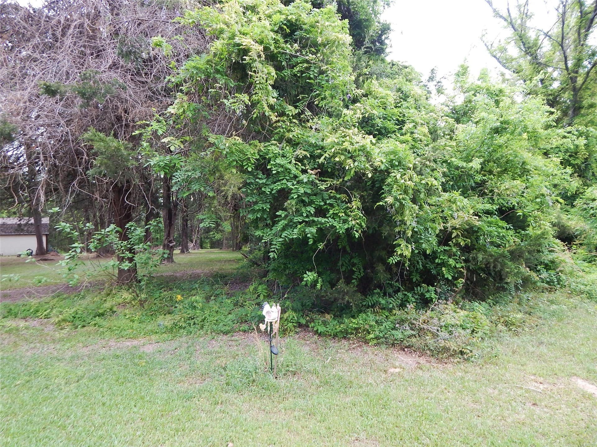 2 acres in Wood County - photo 6