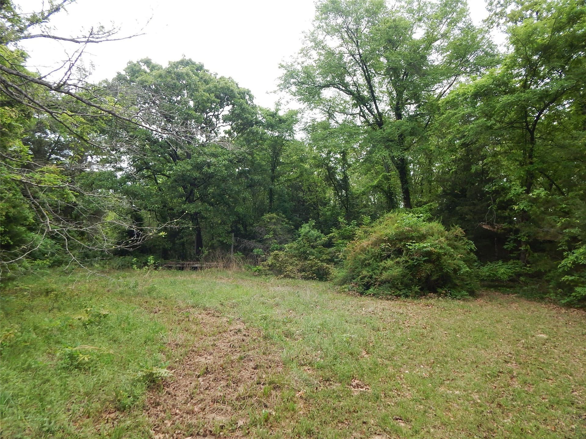 2 acres in Wood County - photo 3