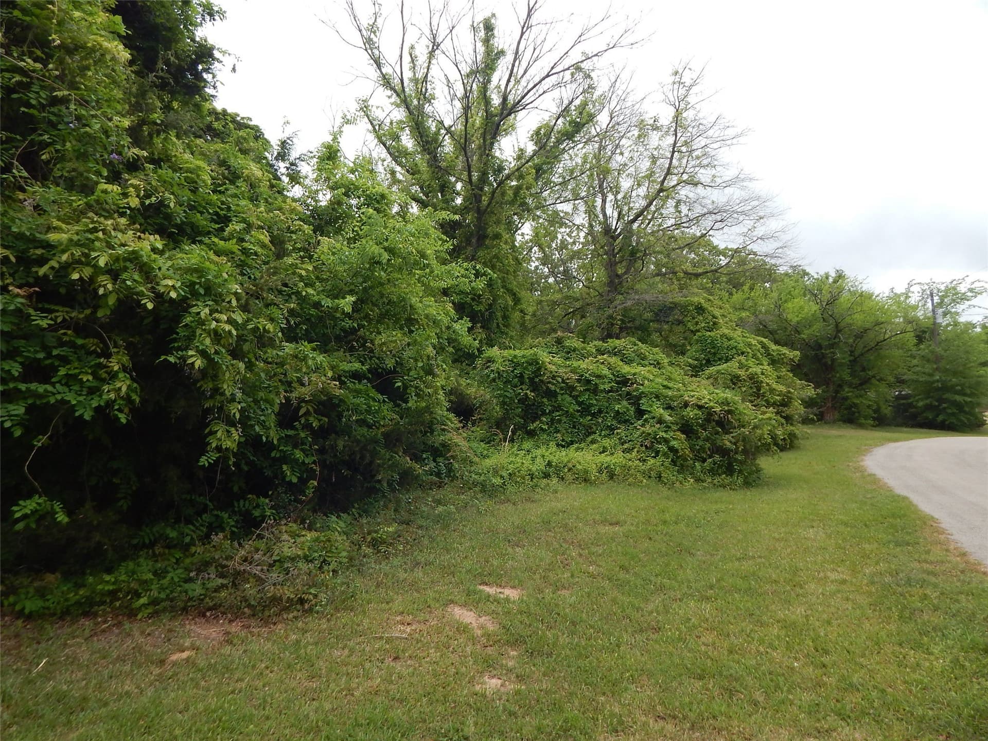 2 acres in Wood County - photo 2