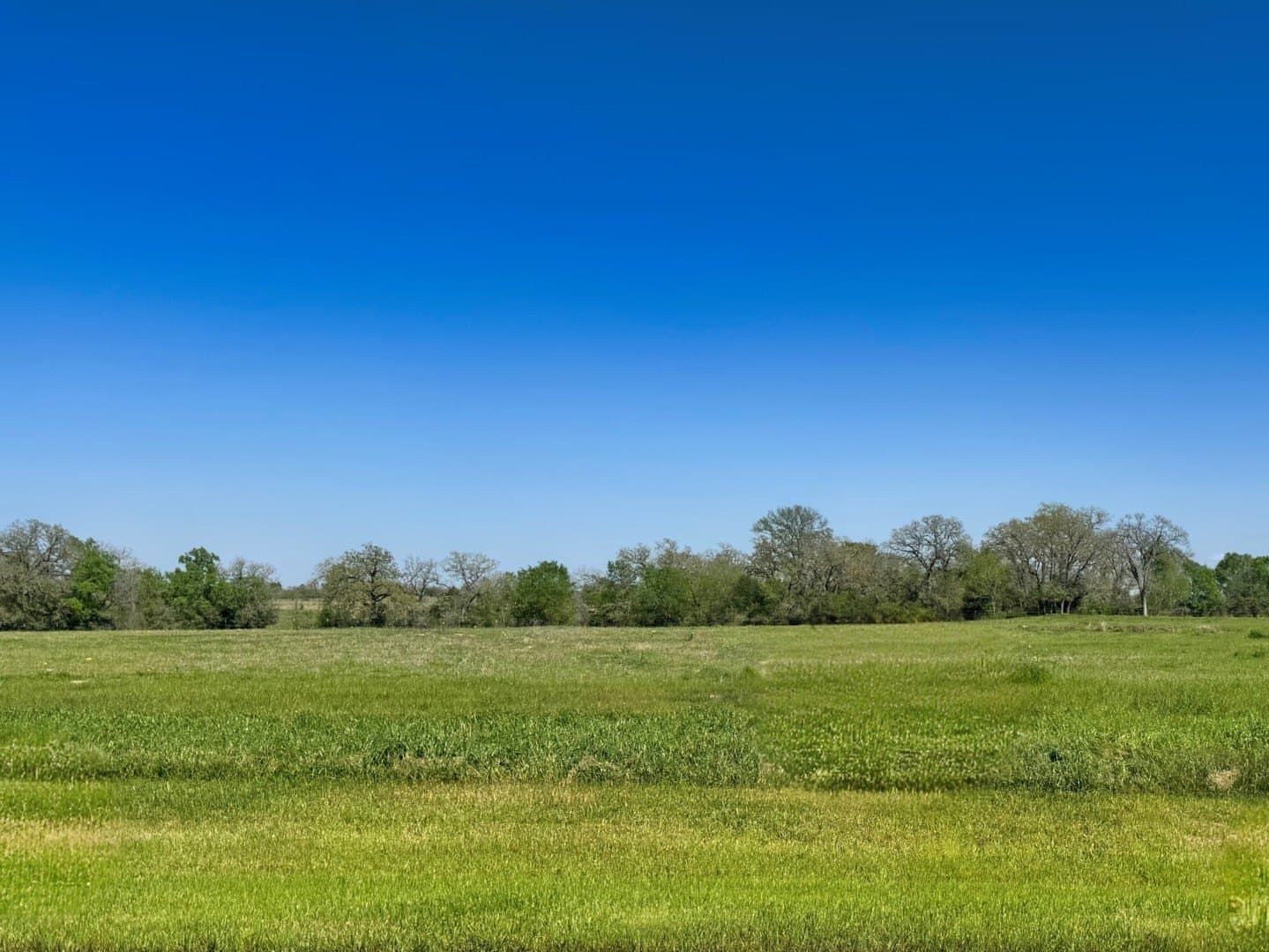 1.03 acres in Grimes County