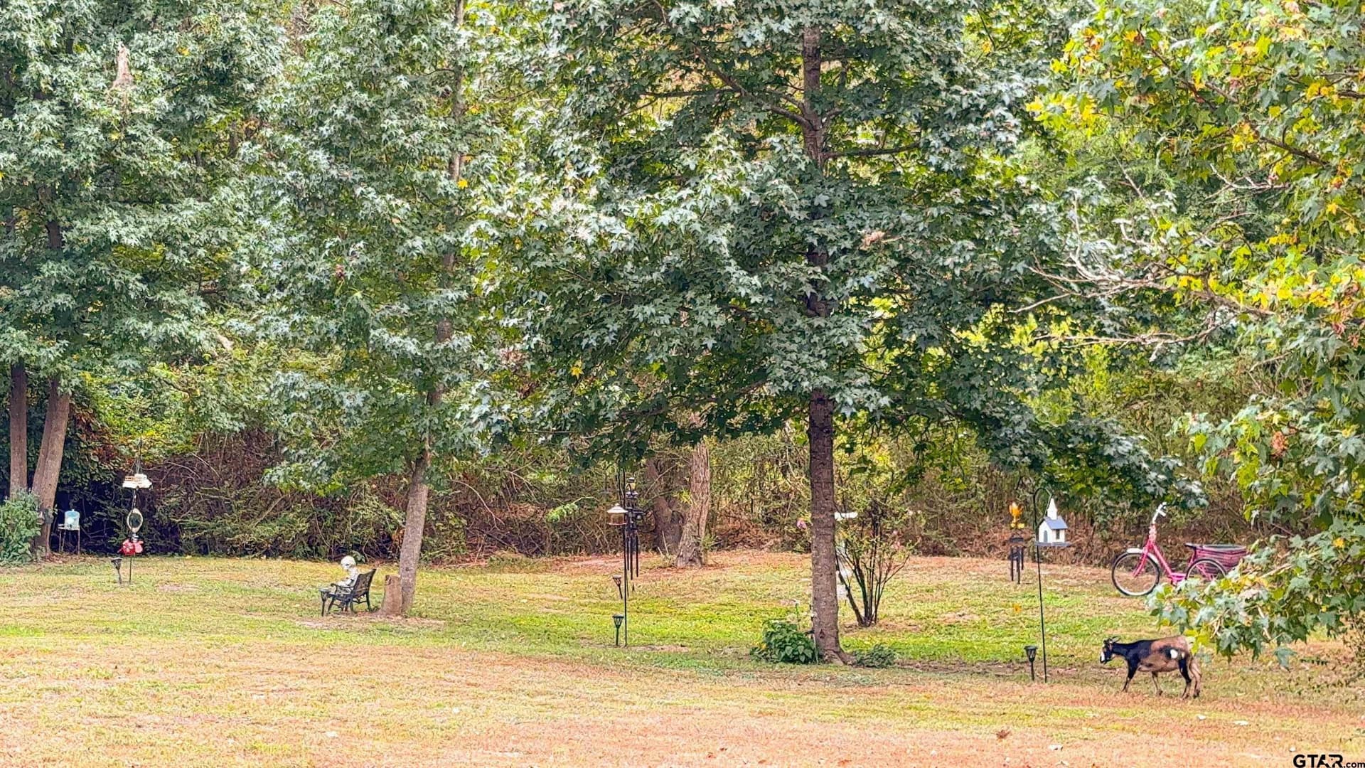 13.07 acres in Upshur County - photo 6