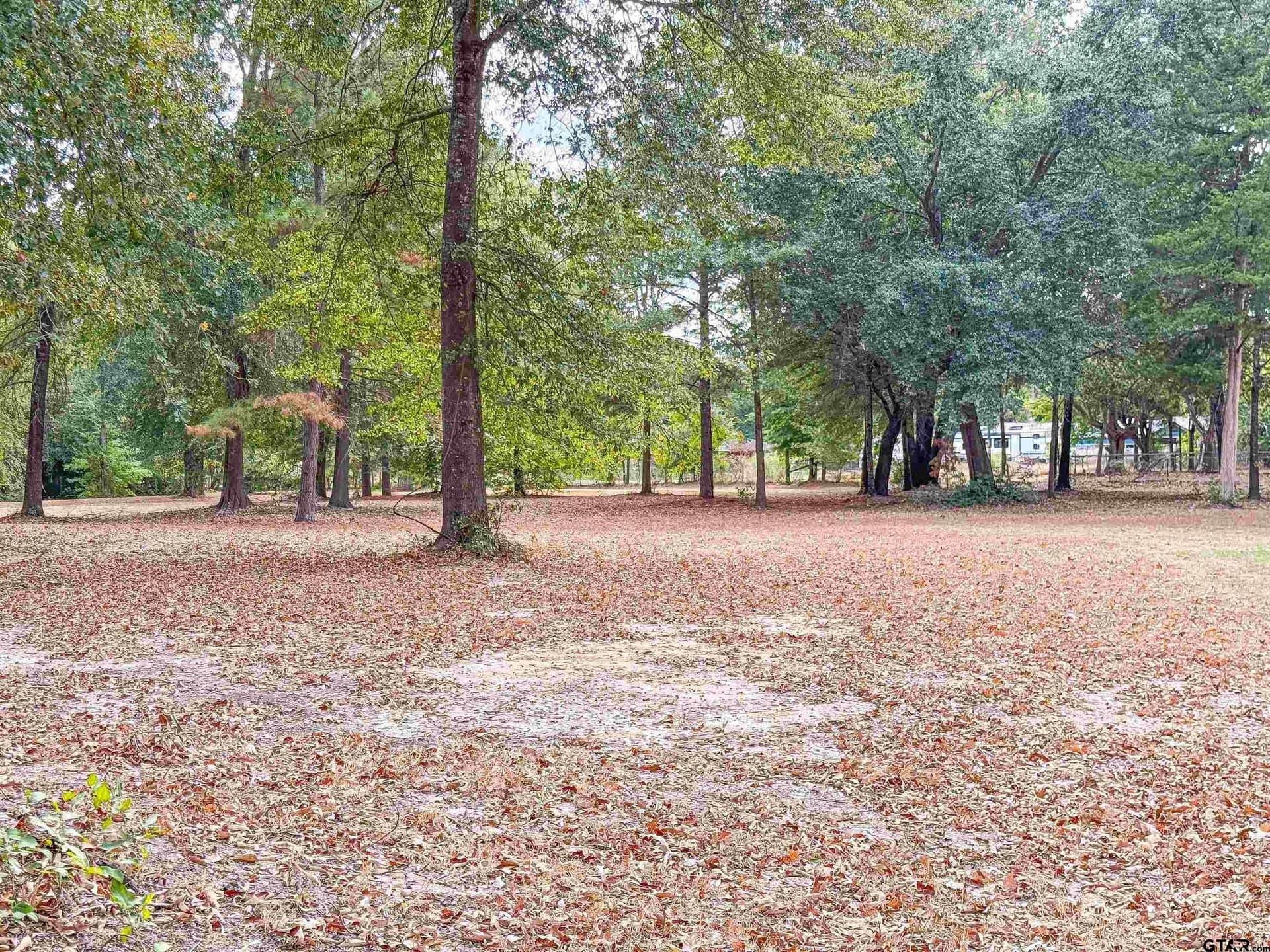 13.07 acres in Upshur County - photo 5