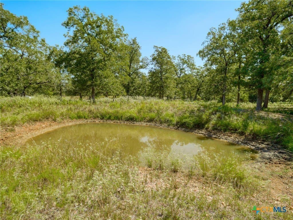 11.13 acres in Bastrop County - photo 35
