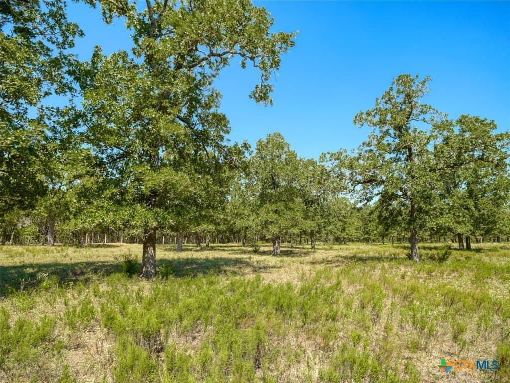 11.13 acres in Bastrop County - photo 34