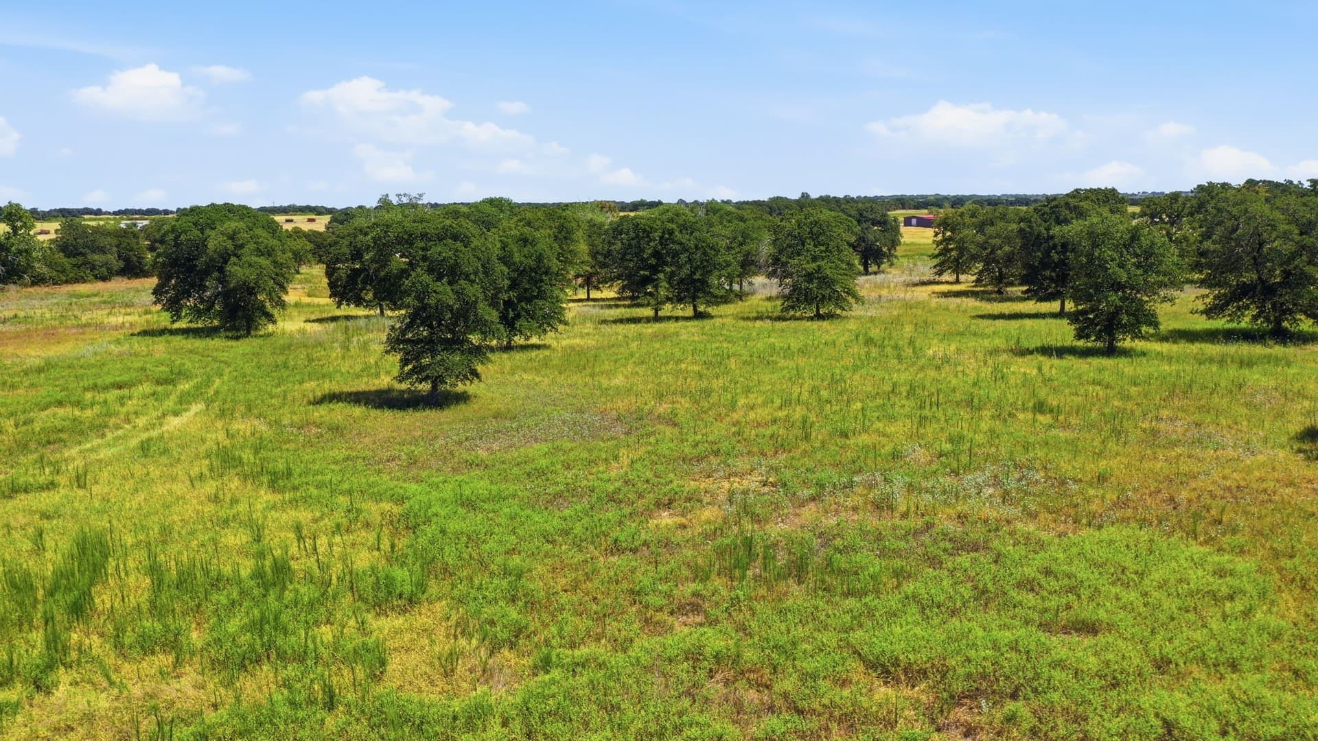 16.41 acres in Comanche County - photo 4