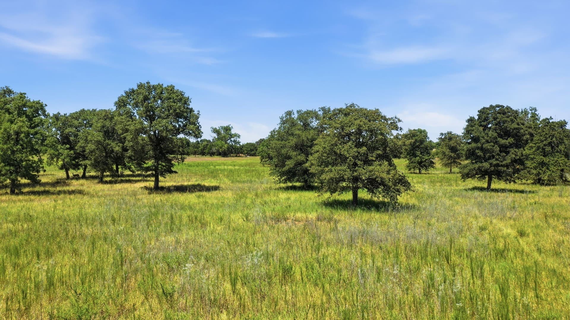 16.41 acres in Comanche County - photo 5