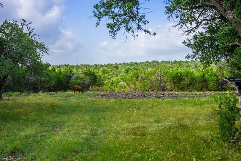 17.4 acres in Gillespie County - photo 2