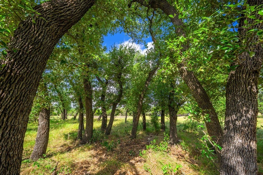 17.4 acres in Gillespie County - photo 6