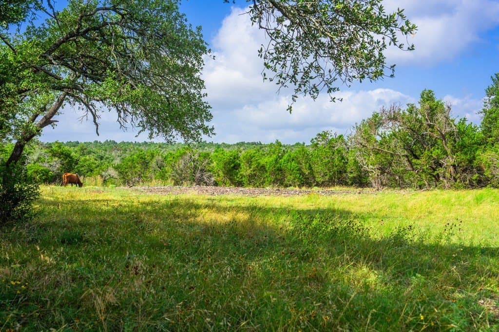 17.4 acres in Gillespie County - photo 8