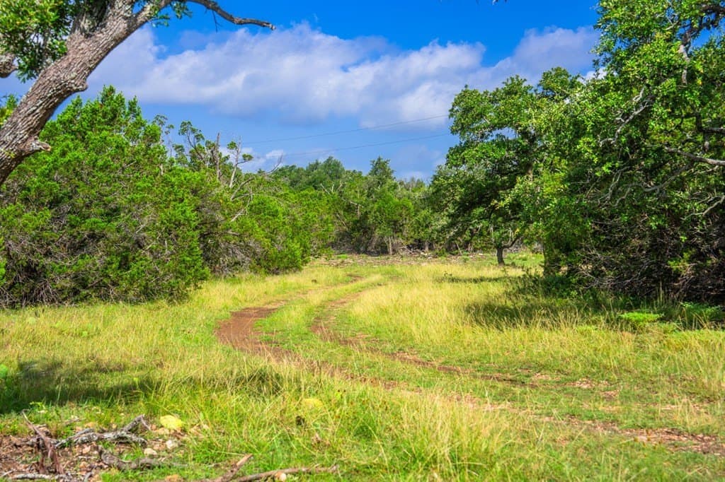 17.4 acres in Gillespie County - photo 5