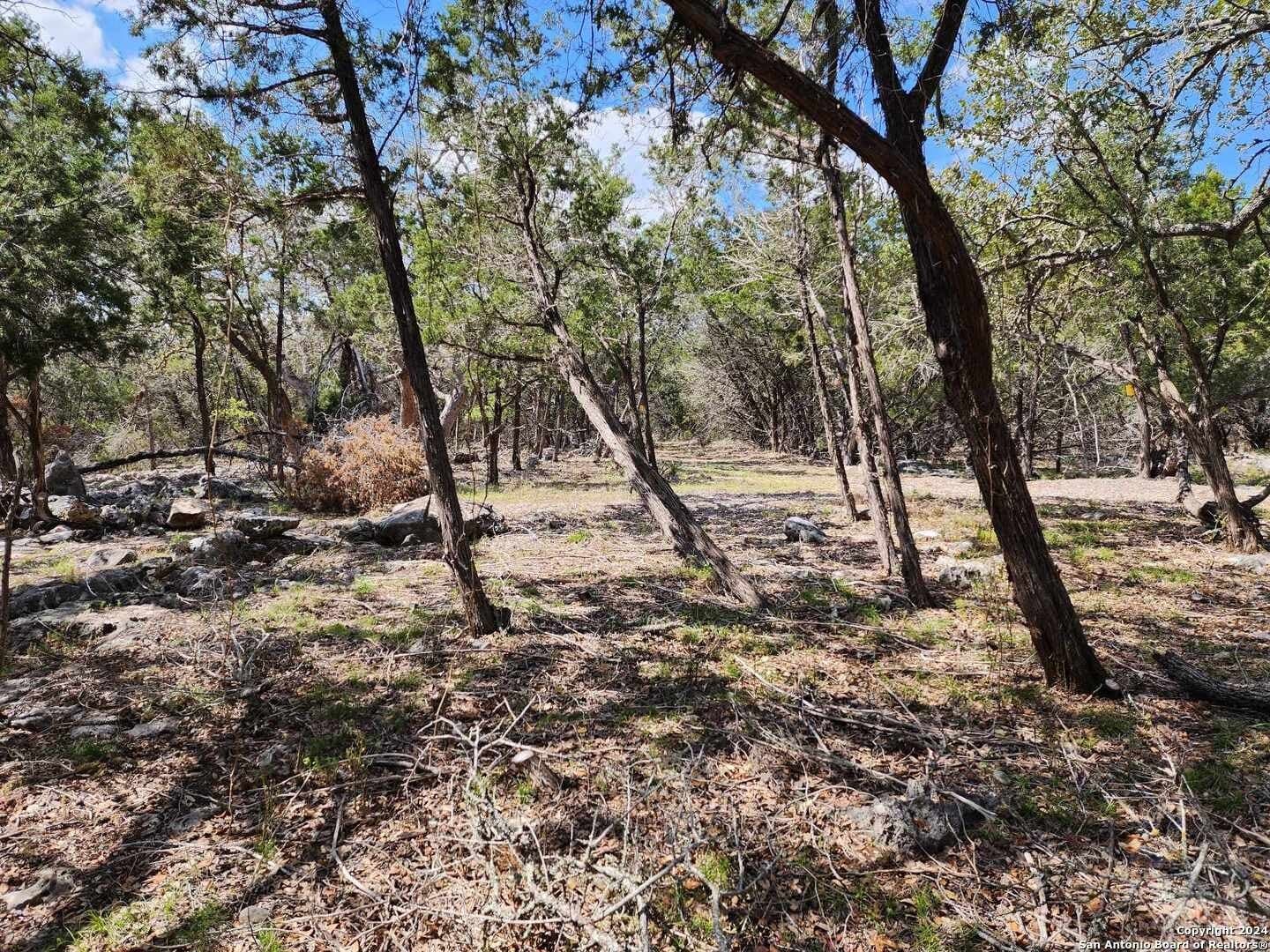 1.49 acres in Comal County gallery image 2