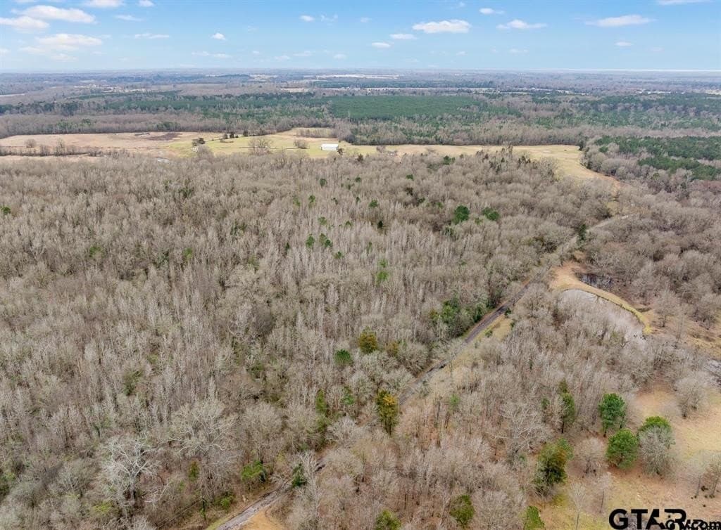 24.13 acres in Camp County gallery image 4