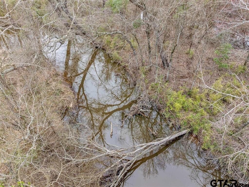 24.13 acres in Camp County featured view