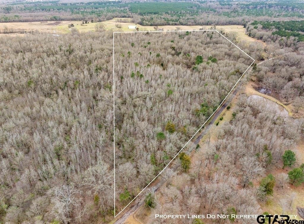 24.13 acres in Camp County gallery image 2