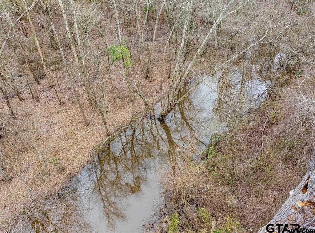 24.13 acres in Camp County gallery image 3
