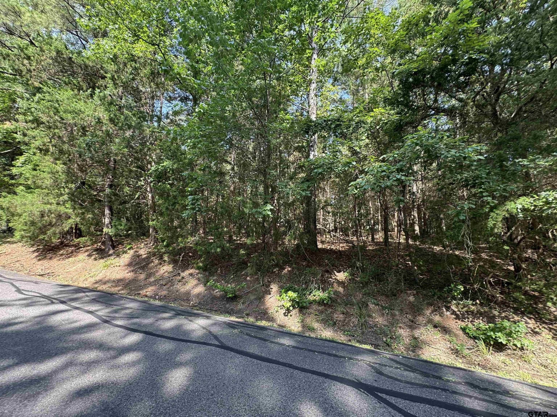 0.3 acres in Franklin County - photo 6