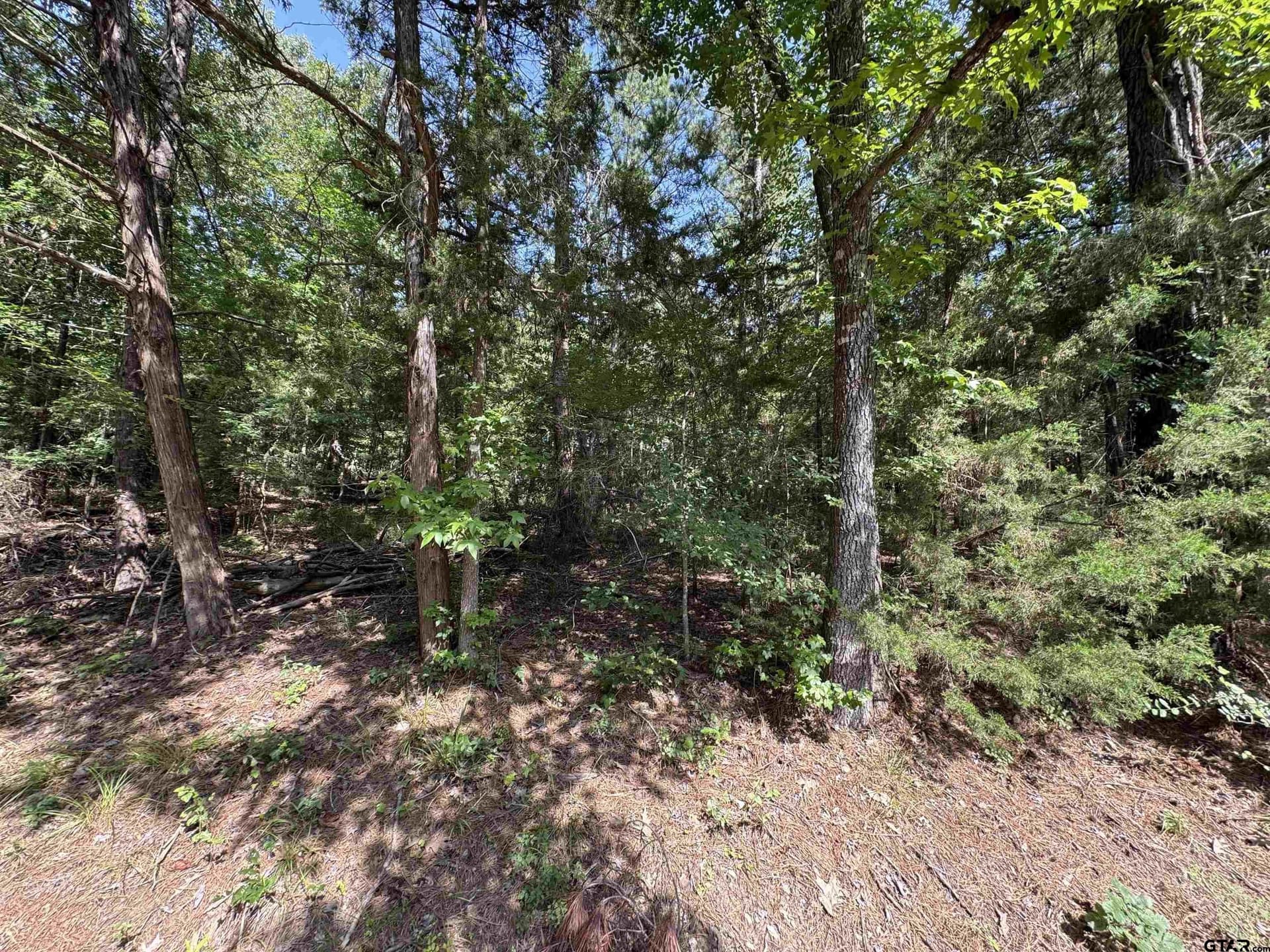 0.3 acres in Franklin County gallery image 2