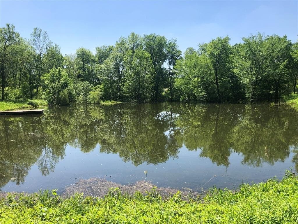 13.58 acres in Fannin County gallery image 2