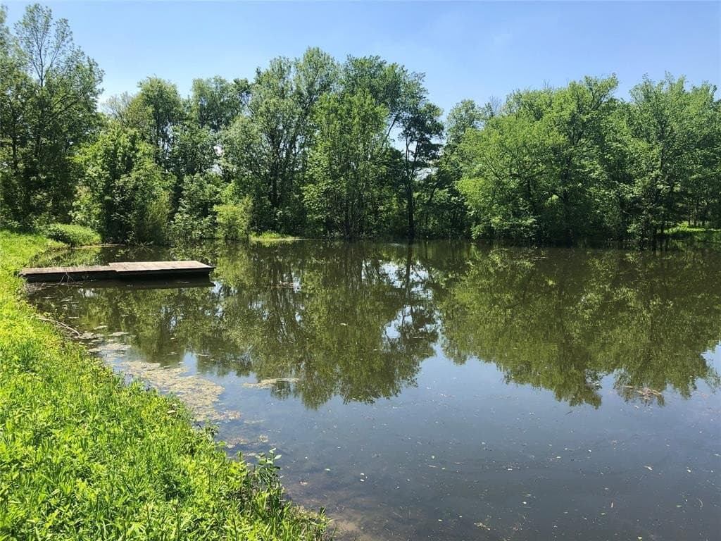 13.58 acres in Fannin County gallery image 4