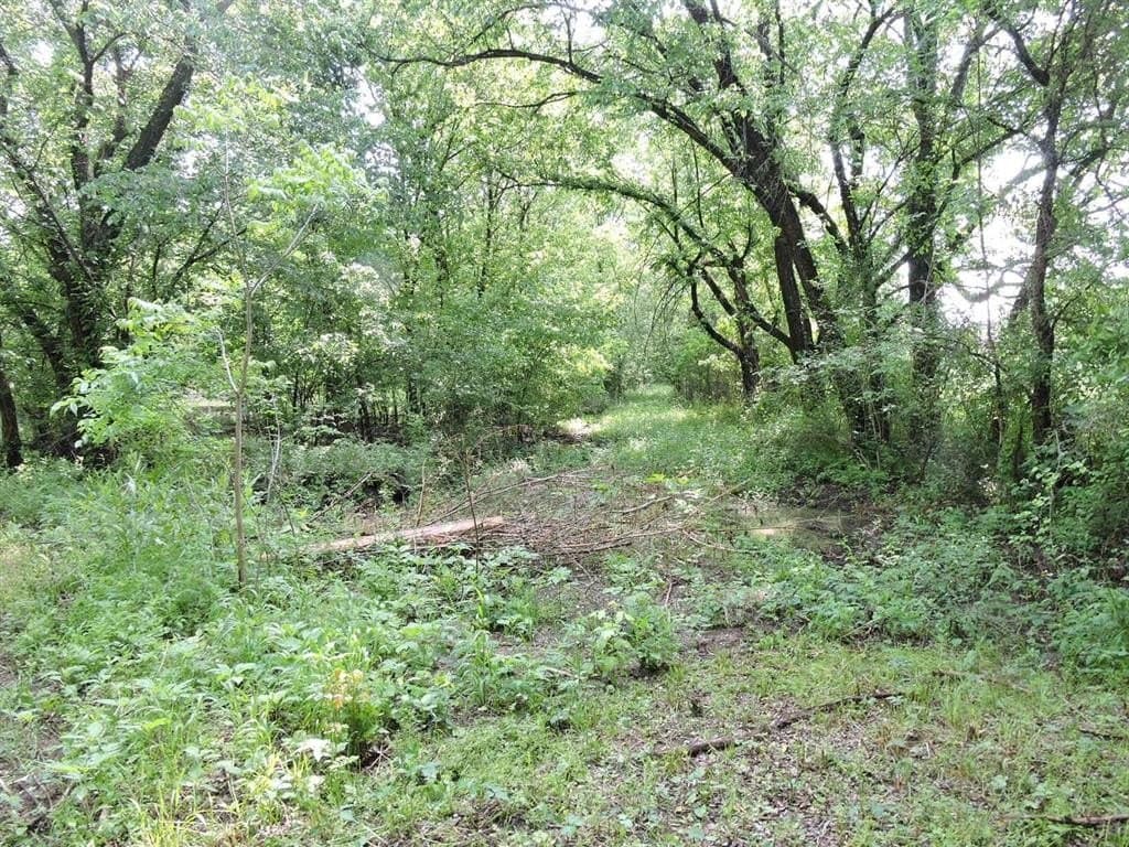13.58 acres in Fannin County featured view