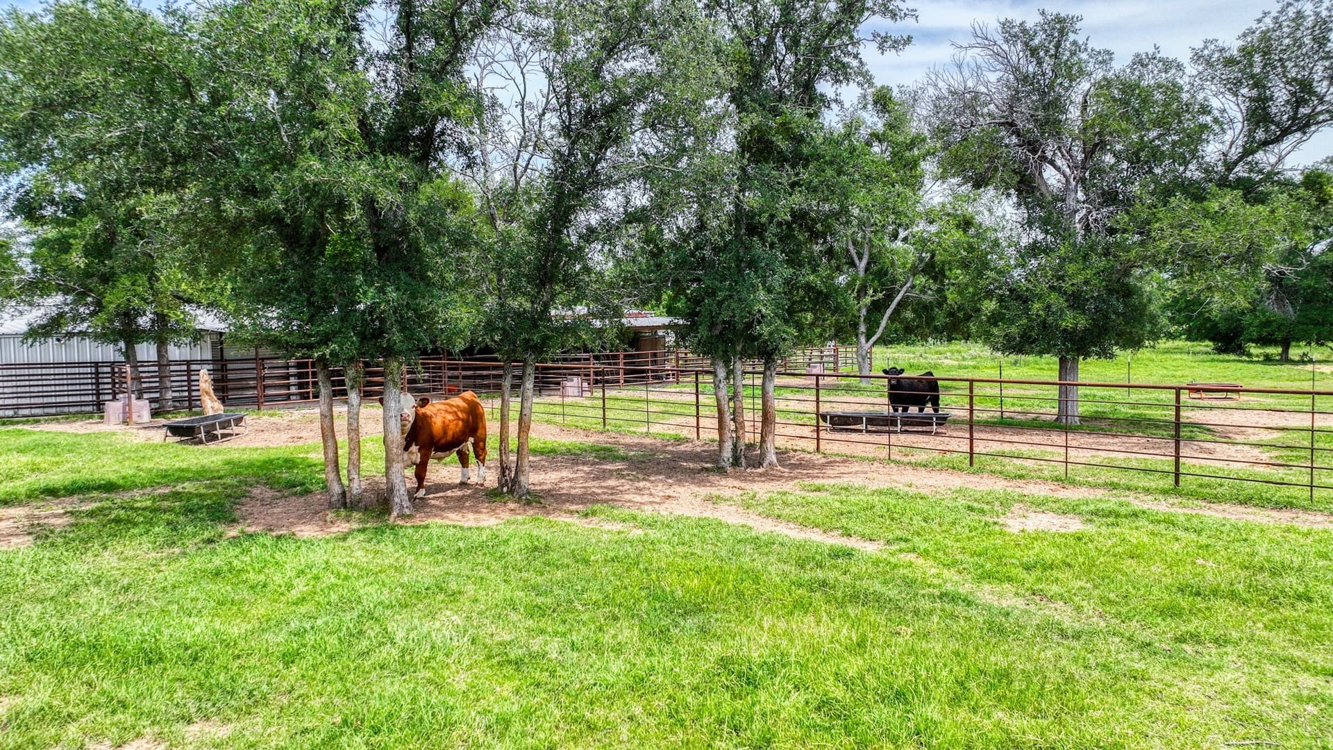 10.03 acres in Parker County - photo 37