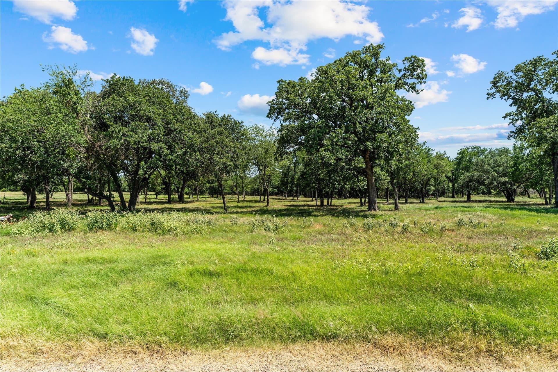 3 acres in Hill County - photo 2