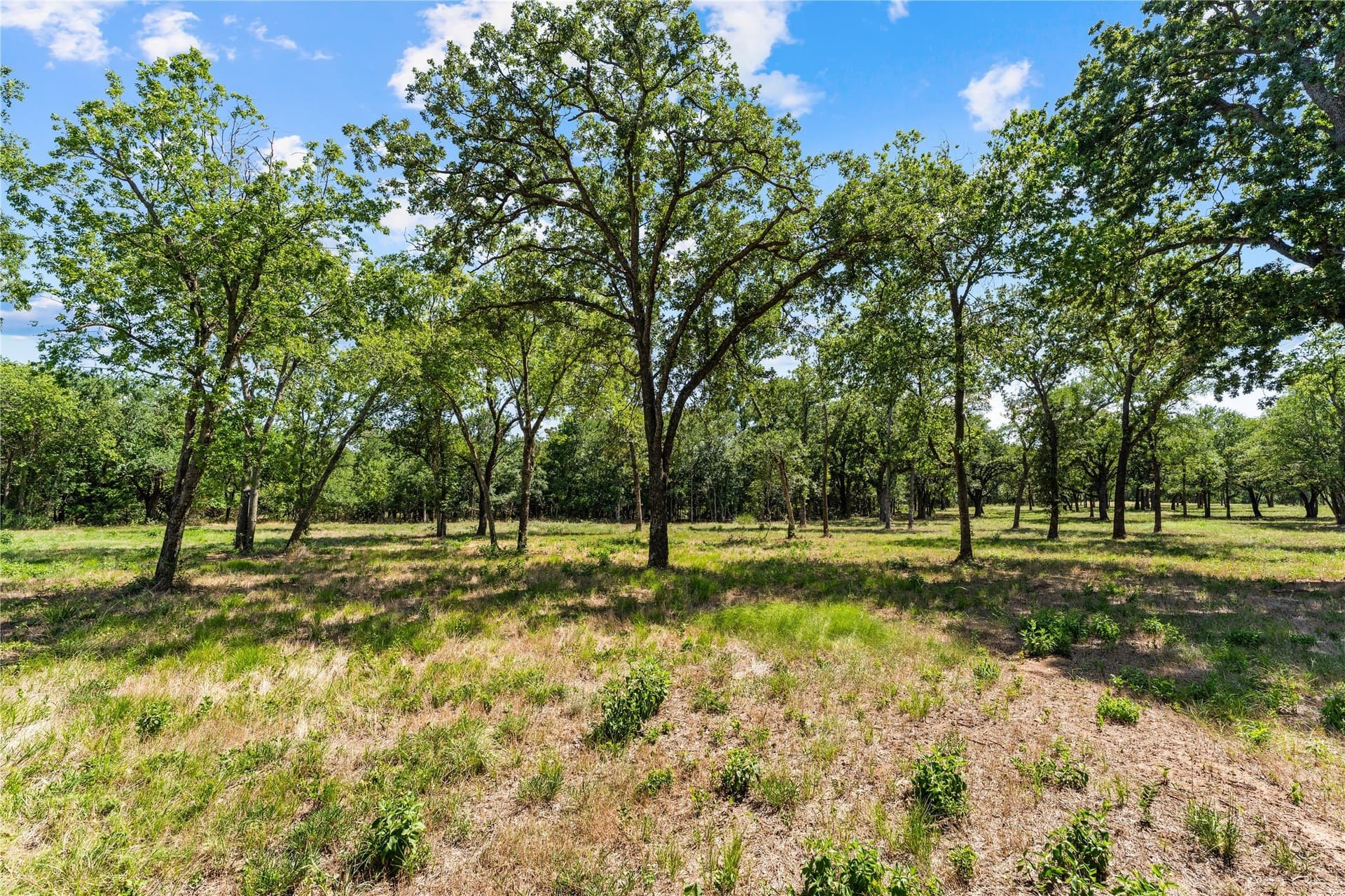 3 acres in Hill County - photo 3