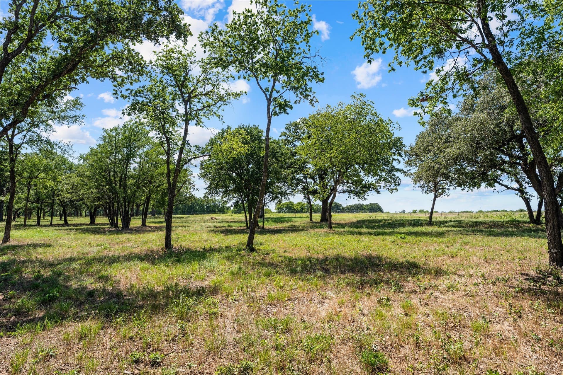 3 acres in Hill County - photo 4