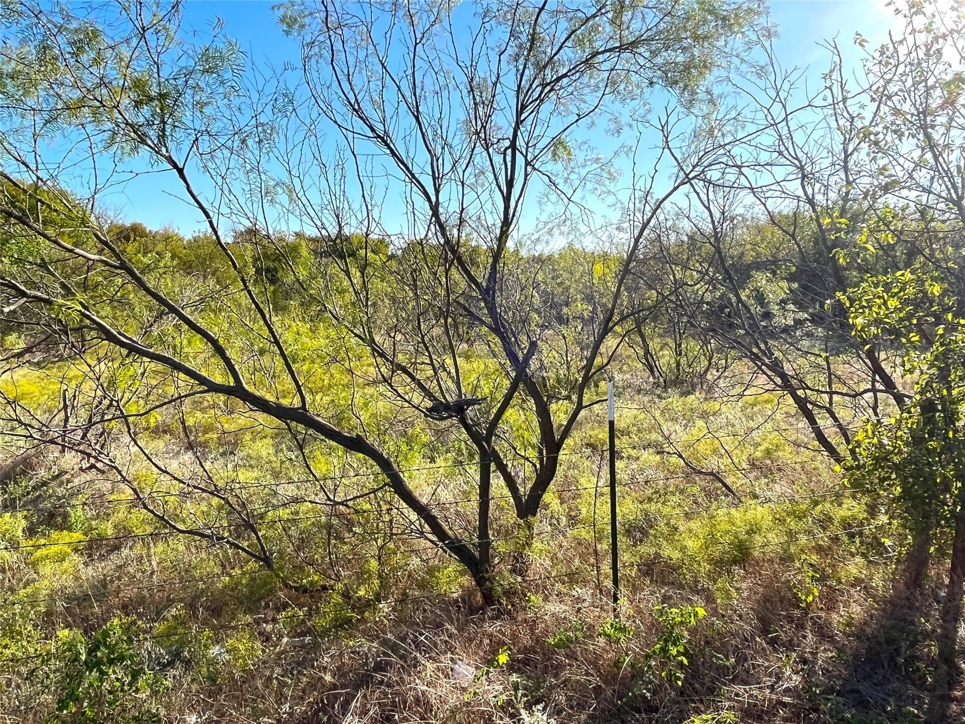 11 acres in Grayson County - photo 12