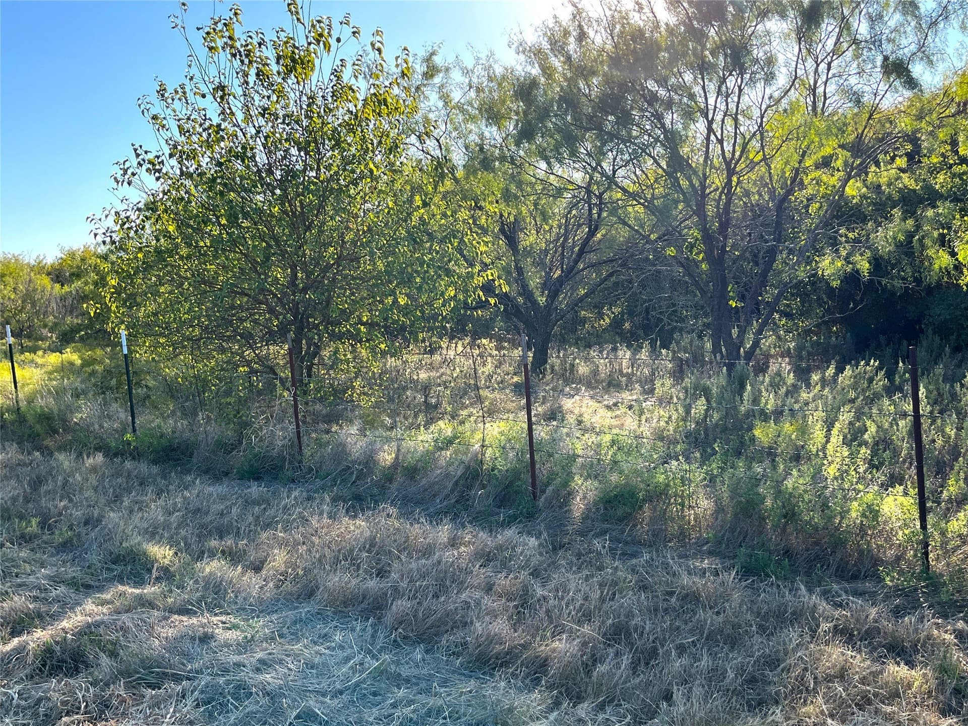 11 acres in Grayson County - photo 8