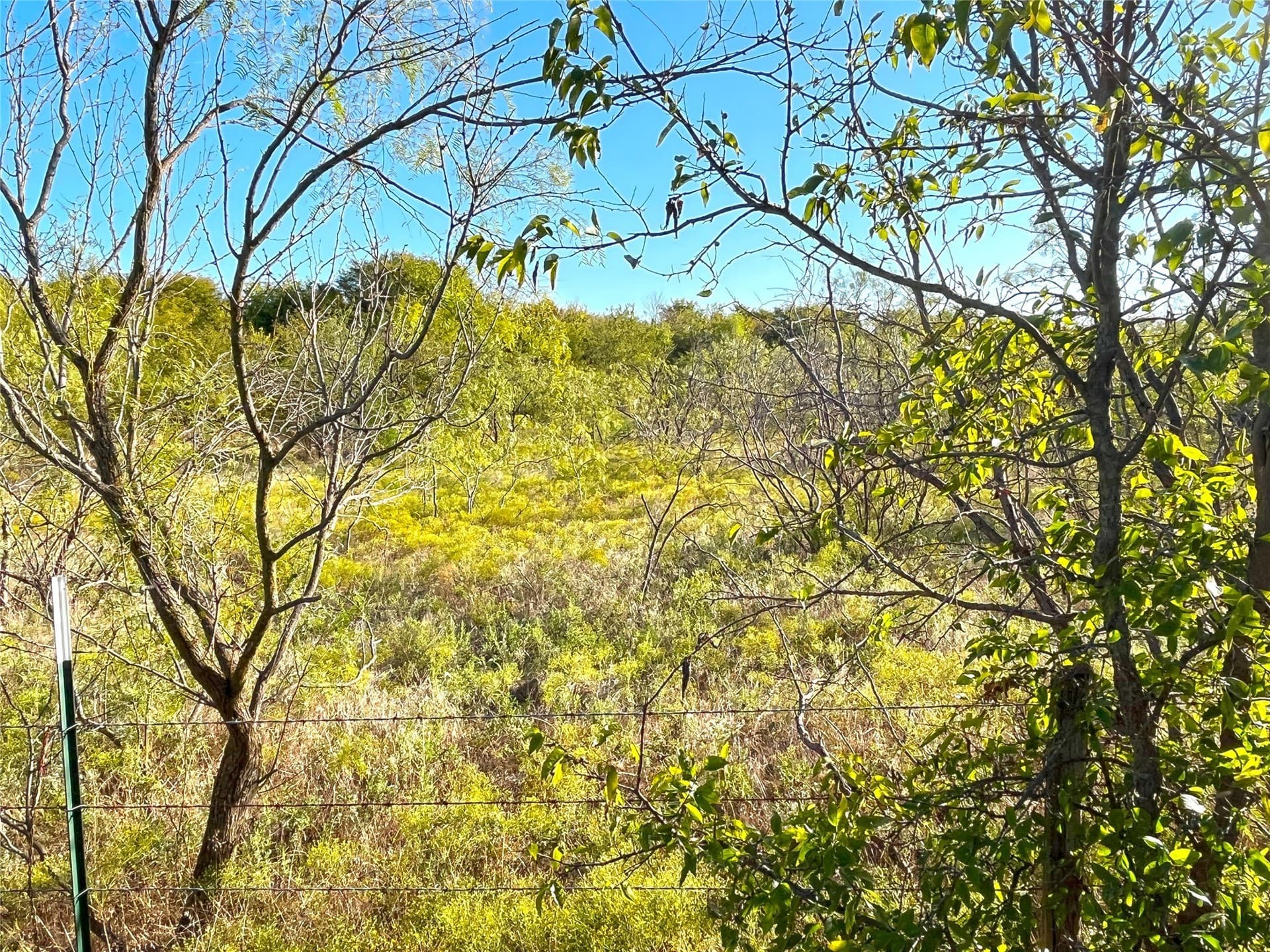 11 acres in Grayson County - photo 11