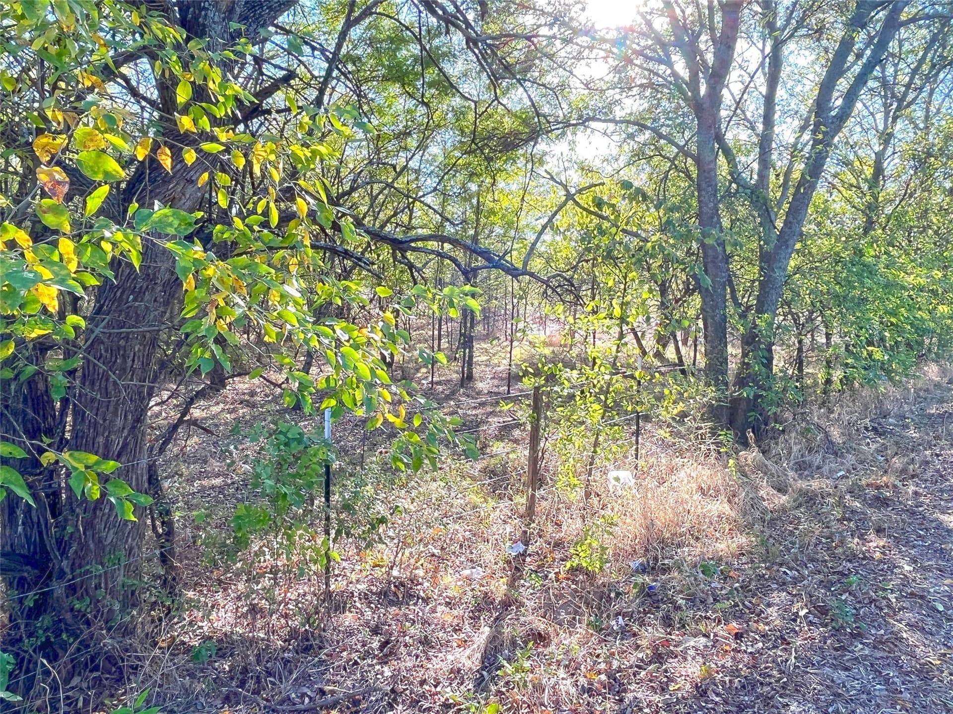 11 acres in Grayson County - photo 10