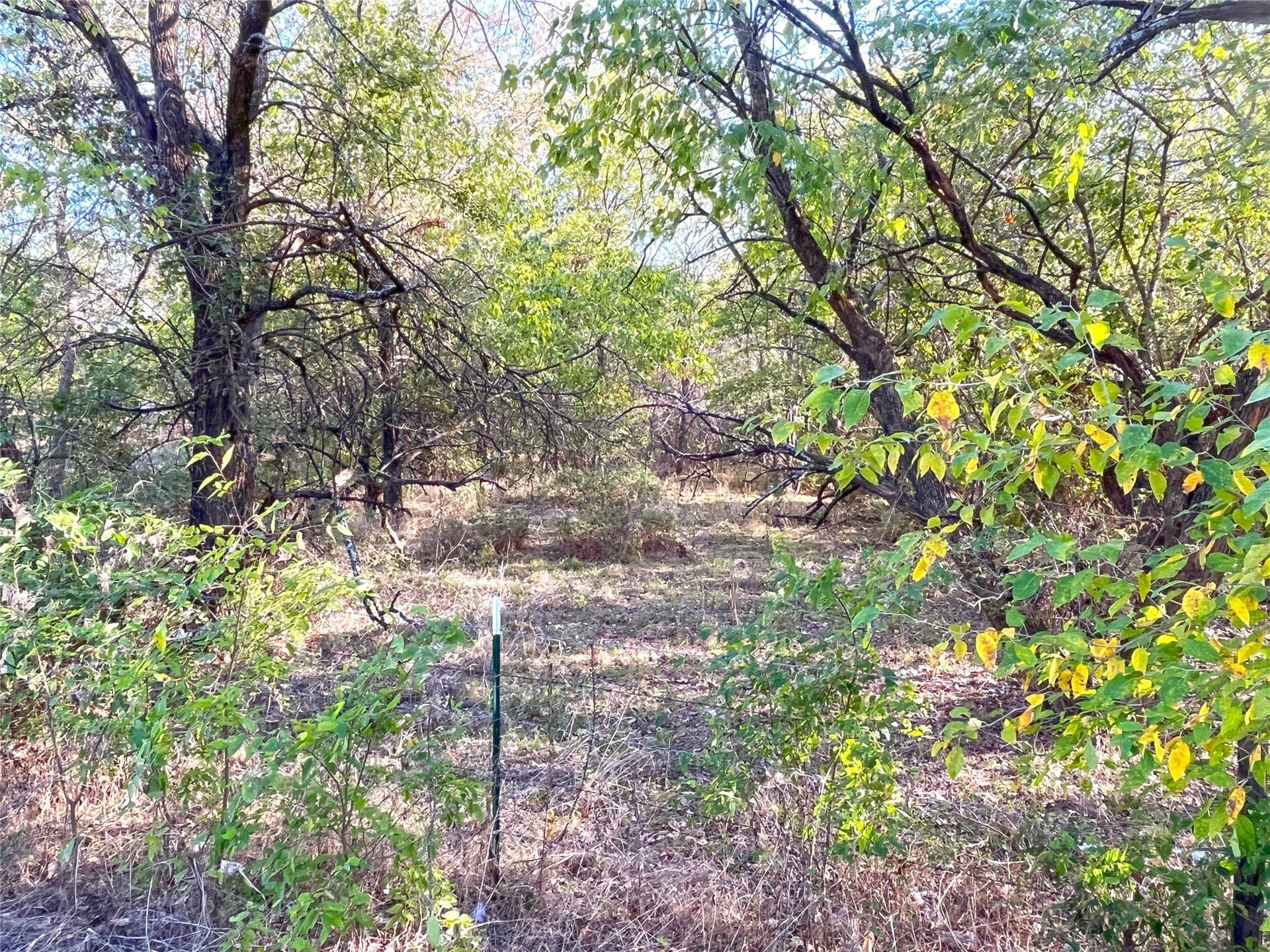 11 acres in Grayson County - photo 9