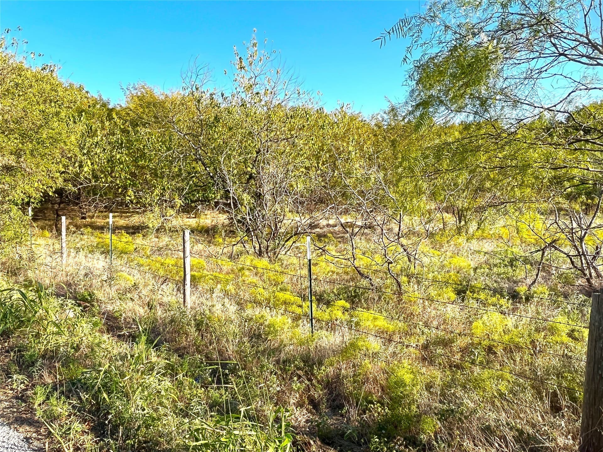 11 acres in Grayson County - photo 13
