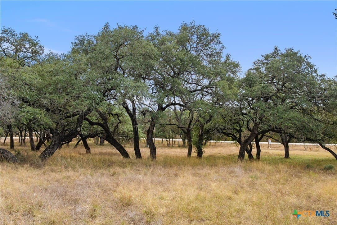 14.55 acres in Blanco County - photo 28