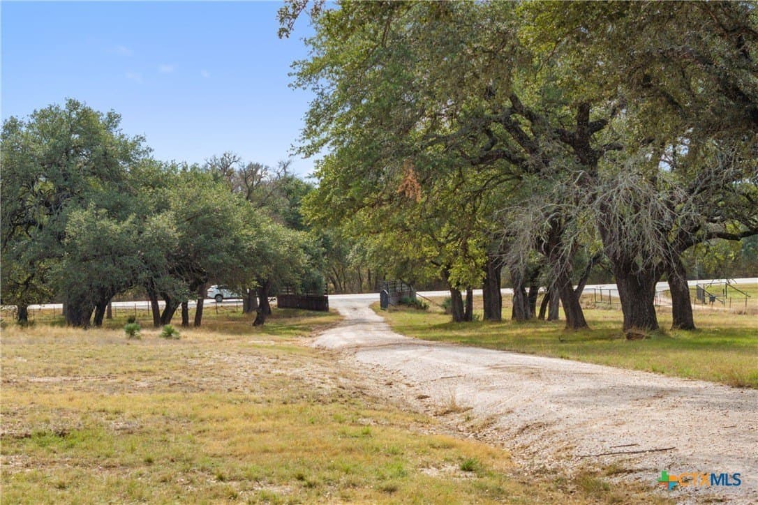 14.55 acres in Blanco County - photo 6