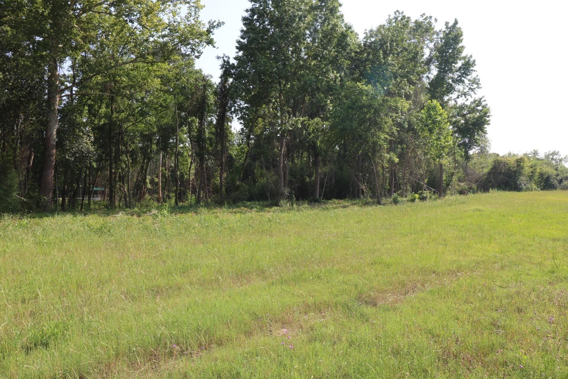 4.37 acres in Texas County gallery image 3