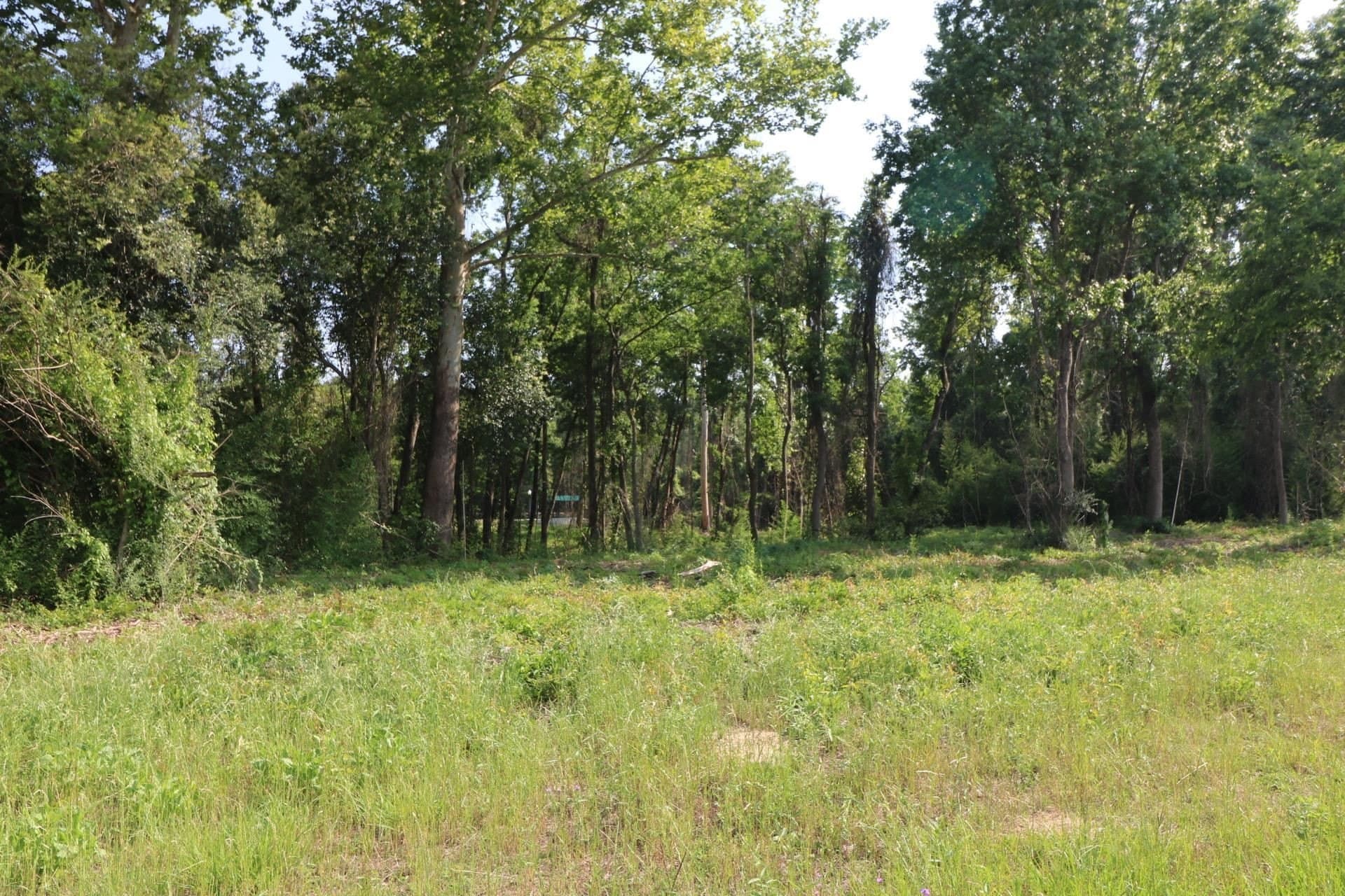4.37 acres in Texas County gallery image 2
