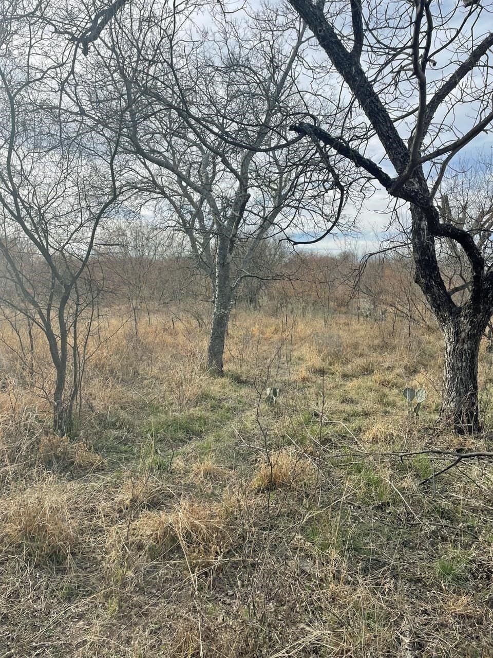5.89 acres in Val Verde County gallery image 3