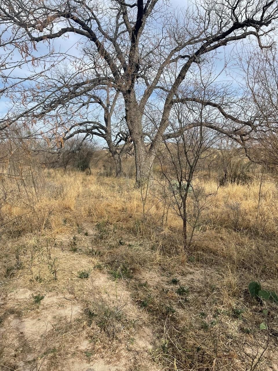5.89 acres in Val Verde County gallery image 4