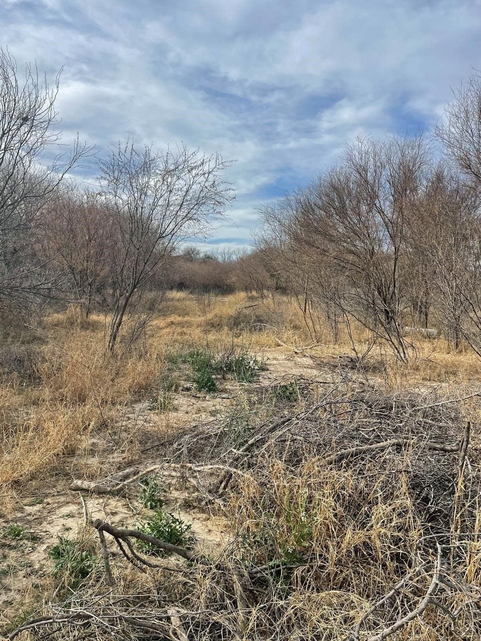 5.89 acres in Val Verde County featured view