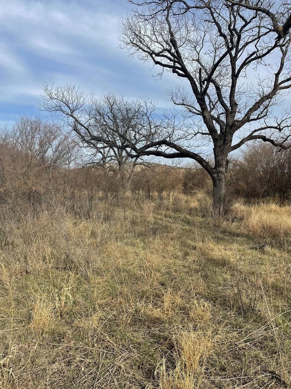 5.89 acres in Val Verde County gallery image 2
